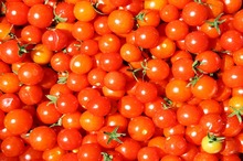 REȚETE VECHI DE 100 DE ANI: Jumări cu brânză de Brăila și Pătlăgele roșii gratinate