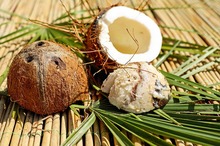 ZILE NAȚIONALE: Republica Honduras - gastronomie