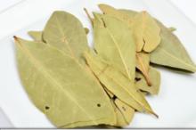 LEACURI DIN NATURĂ: Dafinul