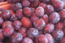 ECO&BIO Silvoița sau 'mierea prunelor' - un produs tradițional 100% natural