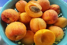 REȚETE VECHI DE 100 DE ANI: Casulet (Cassoulet) vegetarian și Șerbet de caise