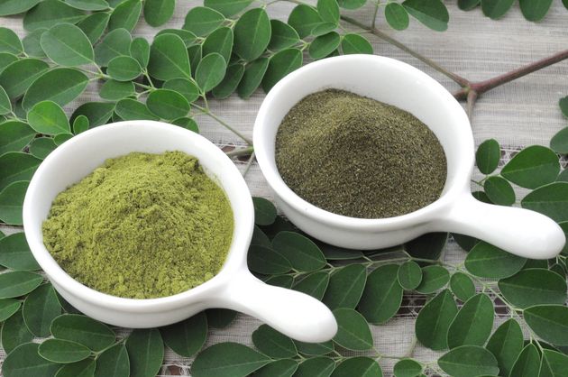 Moringa – superalimentul antiinflamator care scade colesterolul şi reduce oboseala