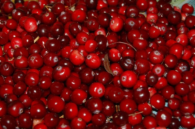 10 alimente pentru sănătatea rinichilor