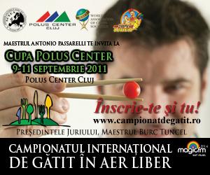 Campionat de gatit